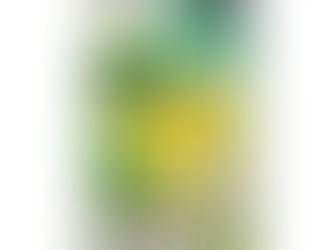 Case of S-Chinese Pokemon booster boxes