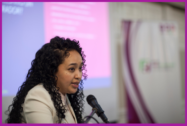 ¿Por qué es necesario el #MiradorDSR?