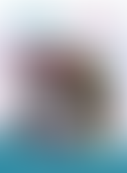 Revista Fokus Edición 5