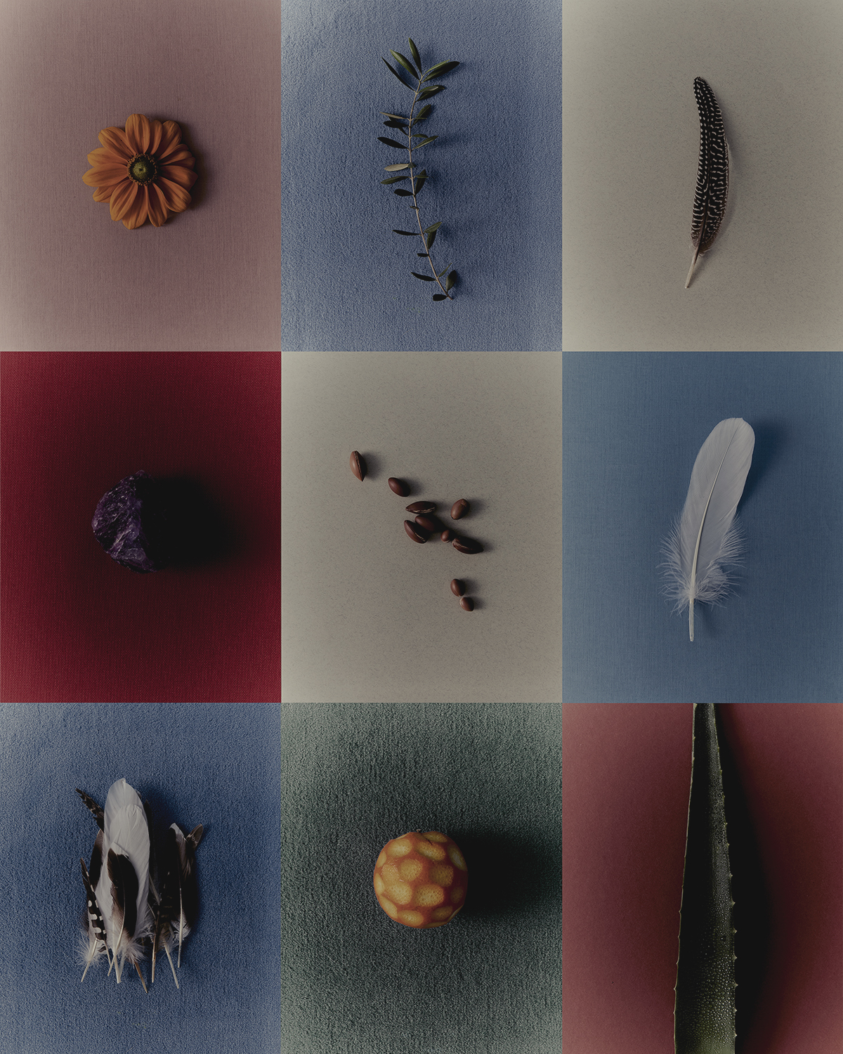 NX25S04_SUSTAINABILITY_Q4NX25S04_SUSTAINABILITY_Q4 -25727 copia.jpg