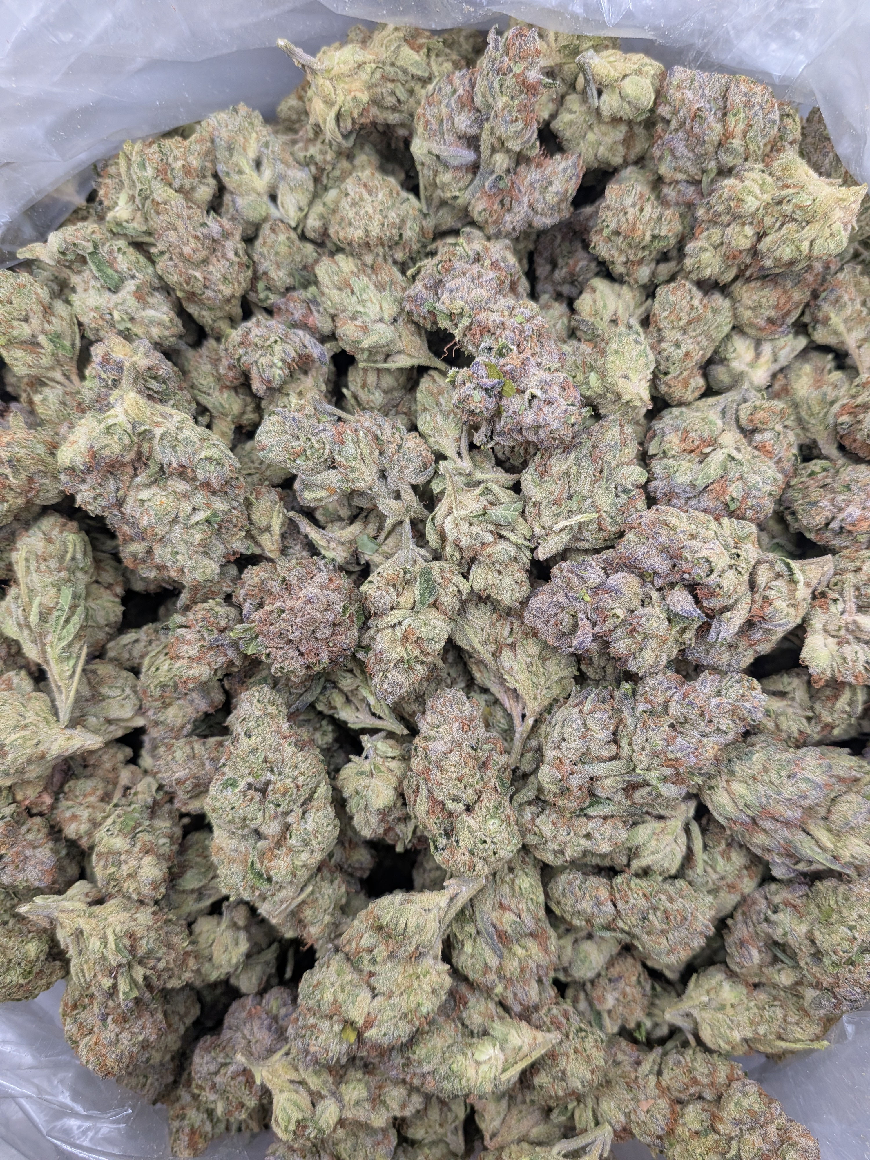 Royal OG (Indica Dom)