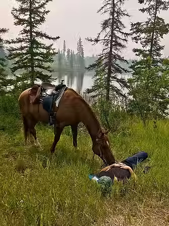 rider relaxing in grass with a horse grazing