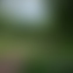 Plébániai gyalogtúra