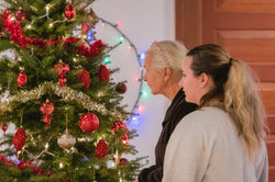 Festival of Trees 2019