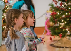 Festival of Trees 2019