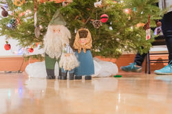 Festival of Trees 2019