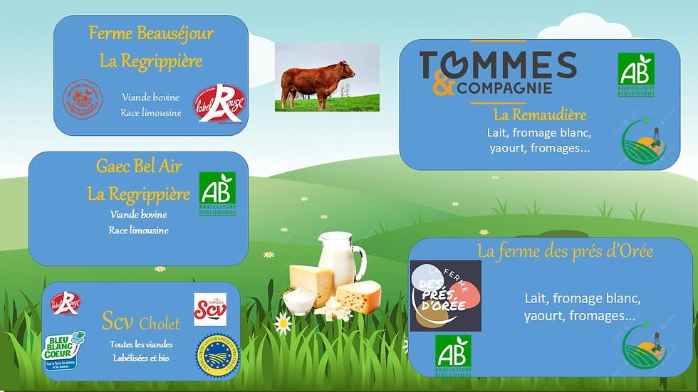 producteur viande et laitier