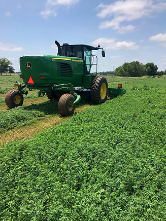 Cutting-SafeForage.jpg