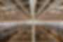 KNG_3702_websize.jpg