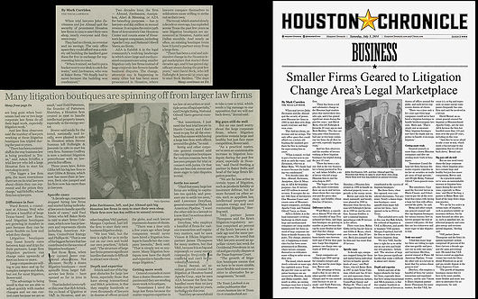 Chronicle Sample 1a copy.jpg