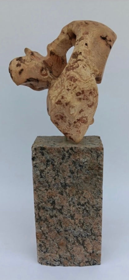 Mobius Heart