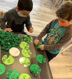 frog counting.png
