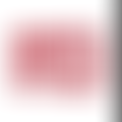 Zoom avec Me. Mongeon