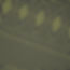54653.jpg