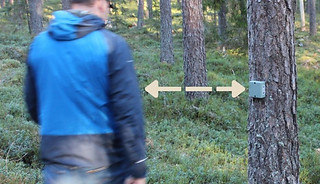 Person går förbi en besöksräknare monterad på ett träd