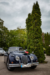 Dana Denk Luxury Fottografie