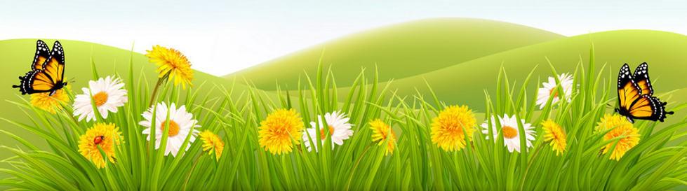 summer_nature_background_with_green_gras