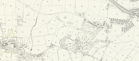 Ordnance Survey, 1890s. The footpath in the centre of the map follows the path of the waggonway.