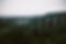 4076554724_b6df6c95d4.jpg