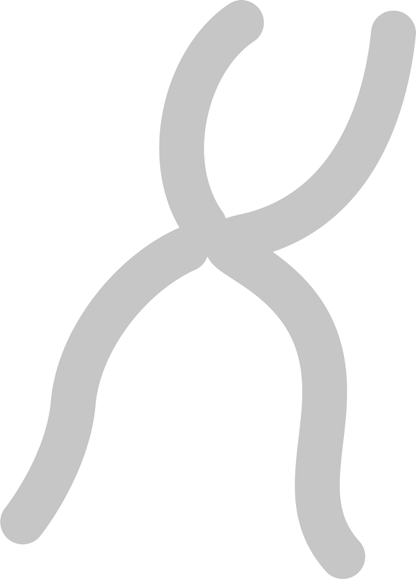 Genes-gif.gif