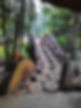 Estate stay in Coorg
