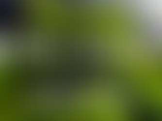 Photo London - Somerset House