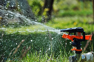 irrigation-services-water-spray.jpg