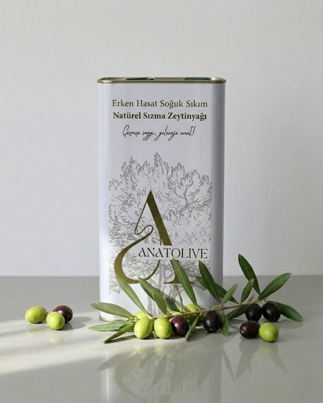 Anatolive Natürel Sızma Zeytinyağı | 5L