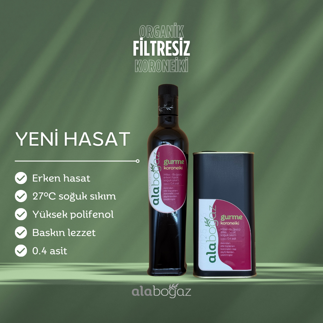 Alaboğaz Gurme Koroneiki | 25' - 26' Hasadı Zeytinyağı