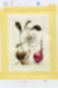 #42 scan 4 300 dpi.jpg