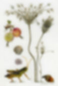 New-#36-final-cropped-100-dpi.jpg