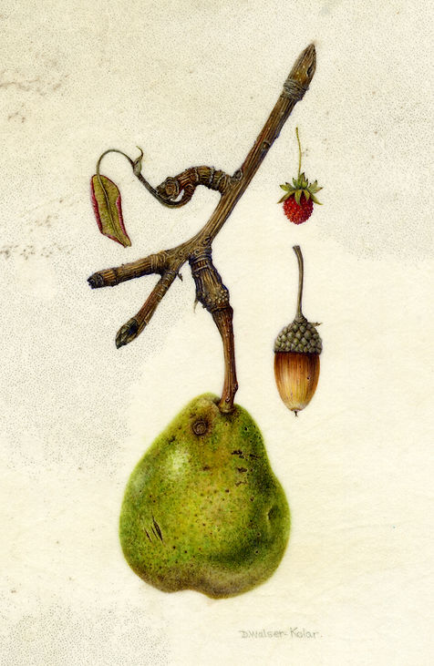 Clos Mirabel Collection Final 100 dpi.jpg