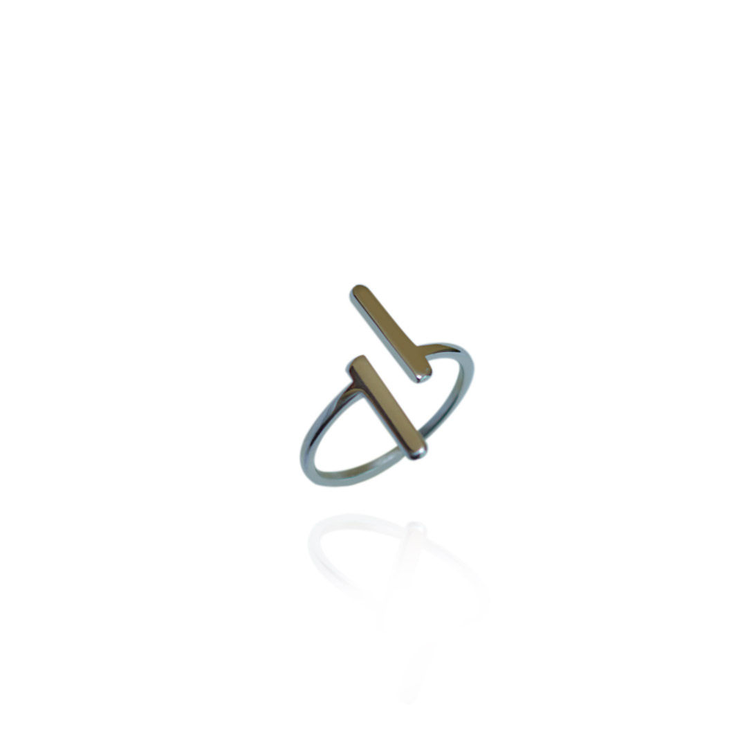 Anillo Barras