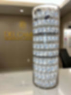 xeomin at dr roberta del campo