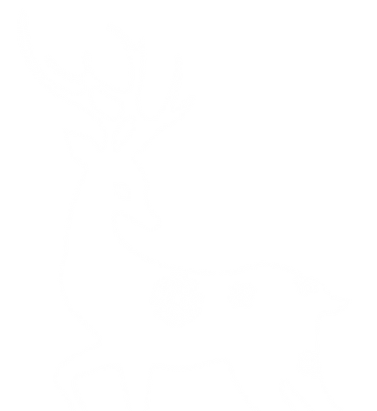 duck house logo-02.png