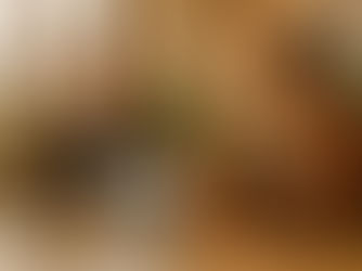 Ladezeit optimieren: So wird Ihre Wix-Website schneller