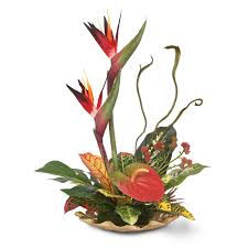 BirdOparadise-bouquet3.jpg