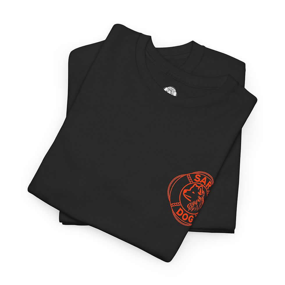 Thumbnail: HC-27J Spartan Line Silhouette Tee | Coast Guard Military Squadron Insignia
