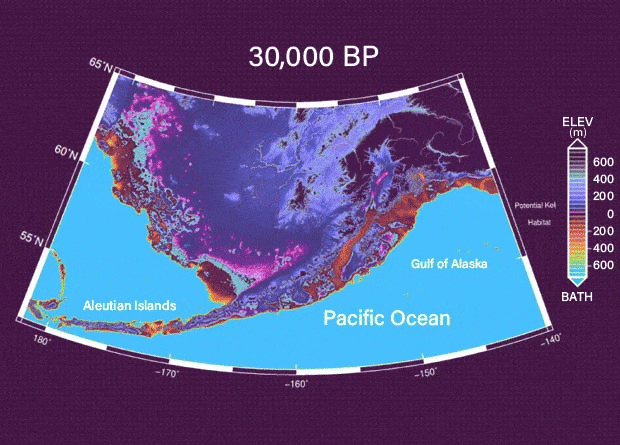 Paleopographical Reconstruction of the Bering Transitory Archipelago Dobson et al. / Ezgif