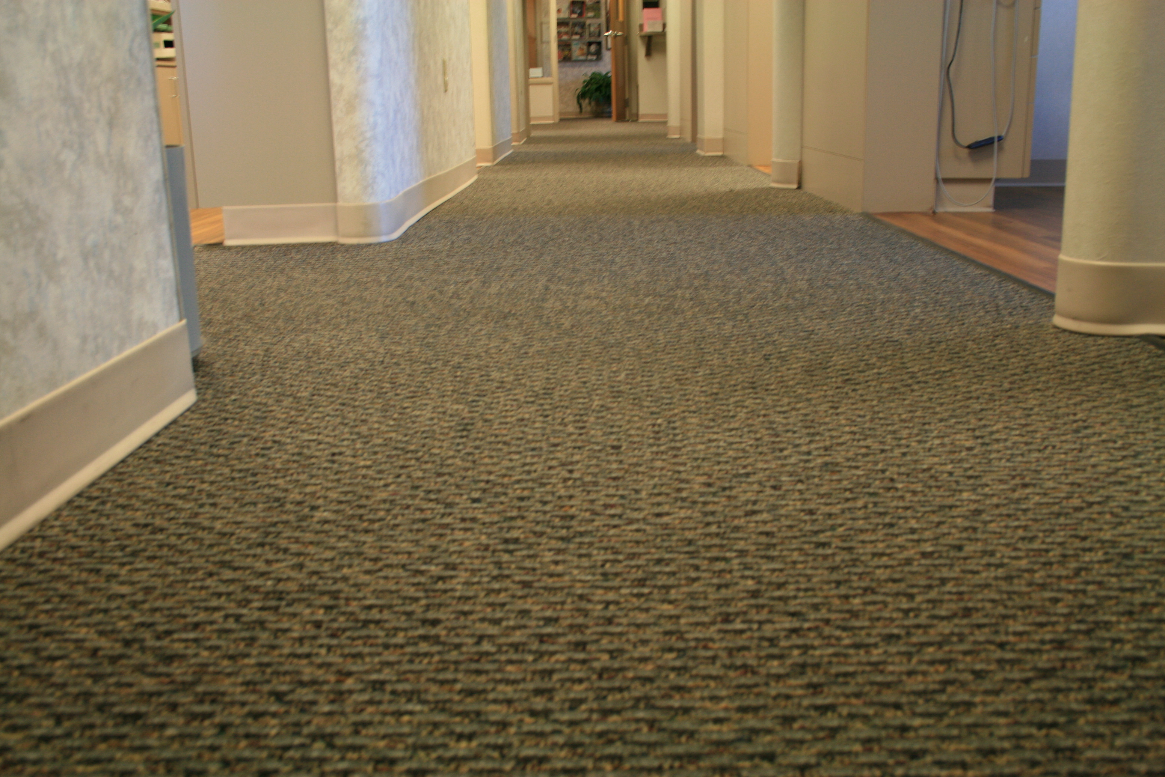 Install Carpet 1