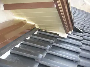 sonokoujihontounihituyoudesuka