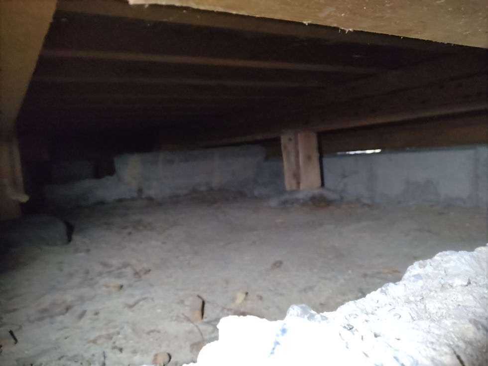 中古住宅の床下確認 土台や基礎の健全性を調べる住宅診断 大府市