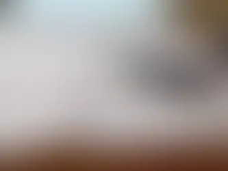 リフォーム前の判断材料として図面や資料を確認している様子