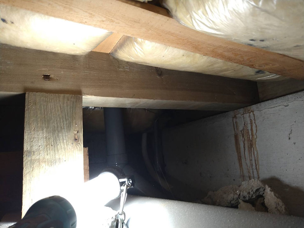 大府市・名古屋市周辺の木造住宅で、床下の木部や基礎の状態を確認している住宅診断の様子