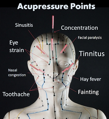 Acupressure-Points-450w_edited.png