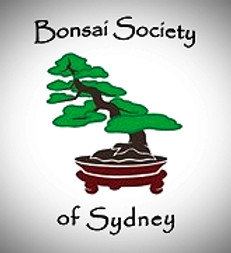 Screenshot 2024-10-23 143514_edited.jpg