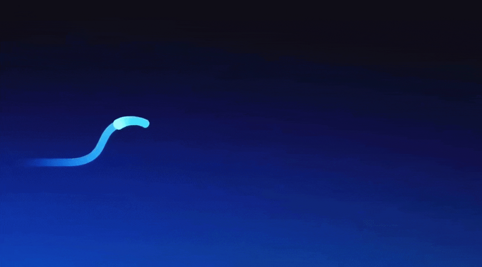 tt.gif