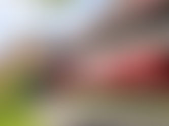 Sesau retoma castração gratuita de cães e gatos no município