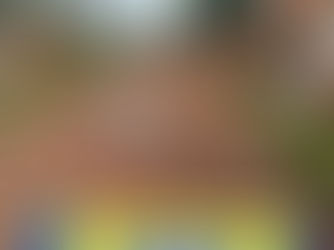 🚨 JUSTIÇA SOCIAL OU PRESSÃO POPULAR?