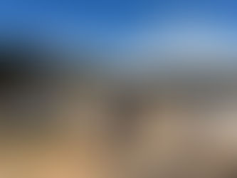 Limpec visita usina de compostagem industrial em Mata de São João